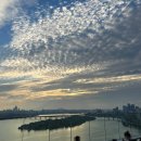 우산제5호 어린이공원(무돌) | 여의도 불꽃축제 호텔 나루 엠갤러리 조식 부대시설 인피니트풀 호캉스