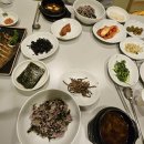 마을애견 이미지