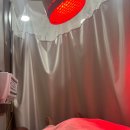 도선한의원 | 임신] 환도통 / 환도선다 증상 및 치료방법 공유 / 임산부 타이레놀 복용 / 임산부 한의원 / 임산부 골반통