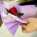 로즈마리플라워 이미지