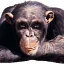 설마리 경로당 이미지