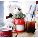 순이다방 이미지