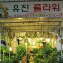 망원시장 이미지