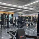 윌 휘트니스 이미지