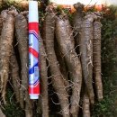 고씨네 농장 이미지