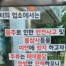 죽도대구매운탕 이미지