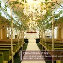 행복웨딩