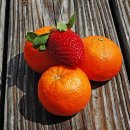 손해평가사 2차 이미지