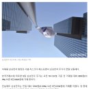 연일전자 이미지