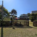 정우펜션 | 제부도단체펜션 매년 진행하는 회사 워크숍 장소를 고민하다 정우펜션 다녀온 후기