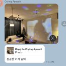 [월간 일기] 바쁘다 바빠! 2025년 1월 일기
