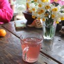 솔빛바다 이미지