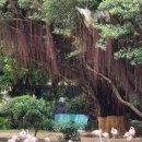 구룡공원입구 이미지