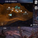 지식나무 이미지