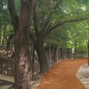 현충근린공원(유아숲체험장) 이미지