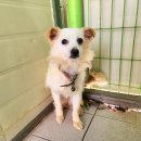 영일사슴 이미지