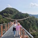 엠비션 | [만년필] 할머니 선물 파버카스텔 엠비션 우드 배나무 F촉 사용후기