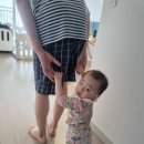 말바우표고버섯