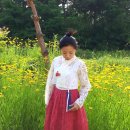 치마저고리 Daum카페