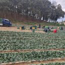 으뜸초등학교 이미지