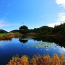 봉개프라자CC 이미지