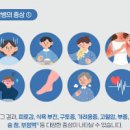 신장 이상 증상 원인 조기 진단 방법까지 총정리 이미지