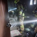 서귀포매일올레시장 이미지