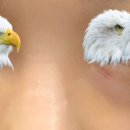 멍뽀인트 이미지