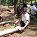 숲속유치원 이미지