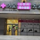 키움동물병원 이미지
