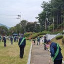 월남참전자회 이미지