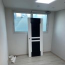 진성투토펠리체 이미지