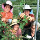 오복마을회관 이미지