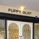 고양이호텔코자냥 이미지