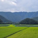 신현1리 마을회관 이미지