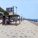 묵호관광안내소 이미지