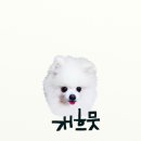 한글서예(초급) 이미지