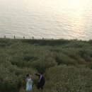 제주도씨 | 📹제주도 웨딩 영상 한씬 후기📹 제주도 웨딩 스냅(with 단편하다)