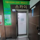 스카이바디케어 이미지