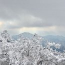 현도주유소 이미지