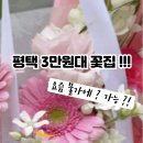 중앙1로56번길 네이버블로그