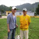 한국애견대학 이미지