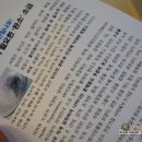 신안소금요정