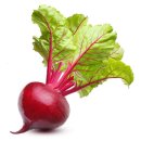 리암요양병원 이미지