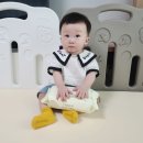 어번네이쳐 | 안전한 아기물티슈 비브 어반네이처 올리브 그린 물티슈