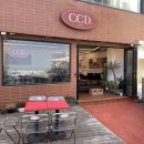 카페CCD송정점 | 부산 송정 오션뷰 카페CCD 송정점 후기(+주차)