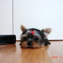 바른손약국 이미지