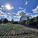 정천망향의동산 화장실 | 에메랄드빛 파란바다에 몰아쳐오는 거센파도를 바라보며,,,제주애월한담해안 ♬ 장한철 산책로♬