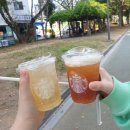 와이림브 이미지