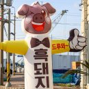 정자로상회